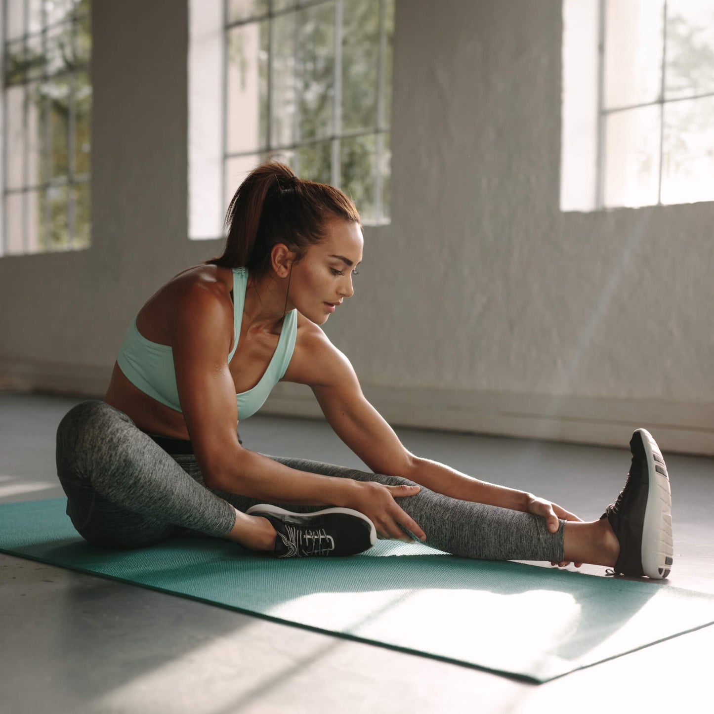 Glucosamine Chondroitin Turmeric MSM